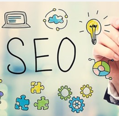 SEO 전문 운영 경험 배경